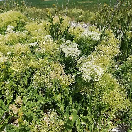 Holiday home Panoramic Retreat In Borgnaes - By Traum Aeroskobing