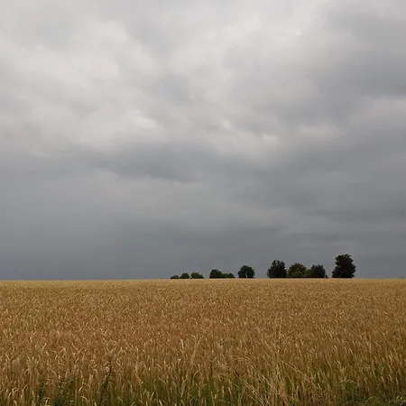 Panoramic Retreat In Borgnaes * Ærøskøbing