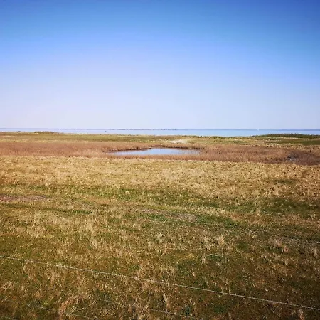 Panoramic Retreat In Borgnaes