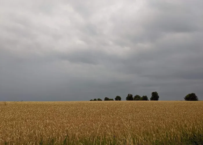 Panoramic Retreat In Borgnaes - By Traum * Aeroskobing