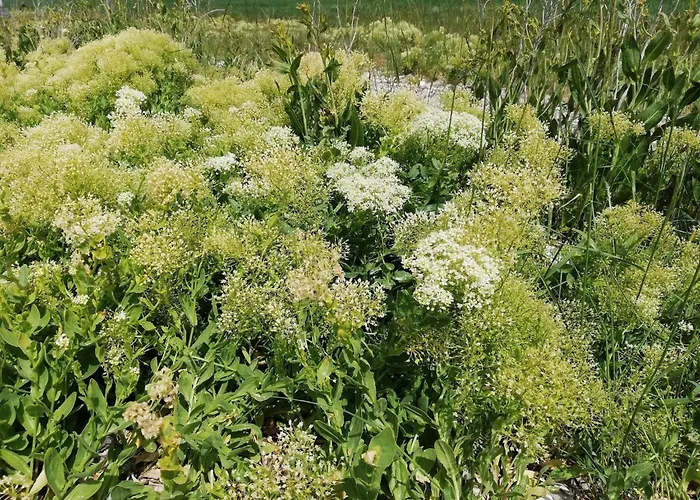 Holiday home Panoramic Retreat In Borgnaes - By Traum Aeroskobing
